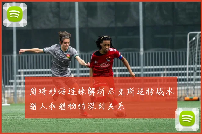 周琦妙语连珠解析尼克斯逆转战术猎人和猎物的深刻关系