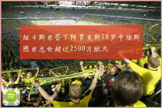 纽卡斯尔签下阿贾克斯18岁中场斯图尔总价超过2500万欧元